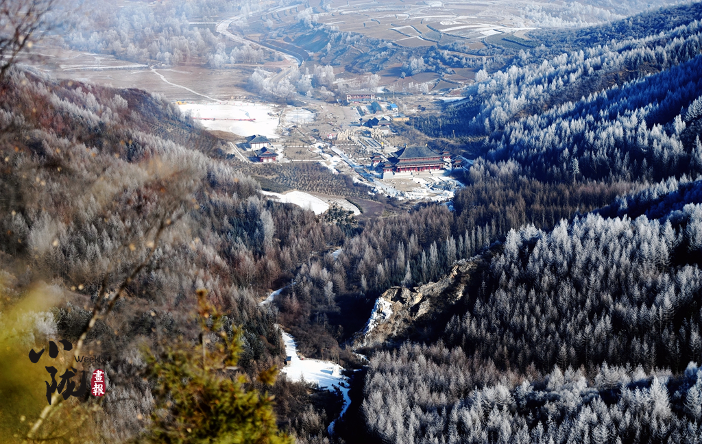 小隴畫(huà)報(bào)|甘肅渭源霧?。河駱?shù)瓊花靚山野（82期）