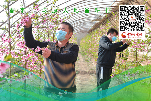 海報(bào)丨春來(lái)！隴原大地春耕忙