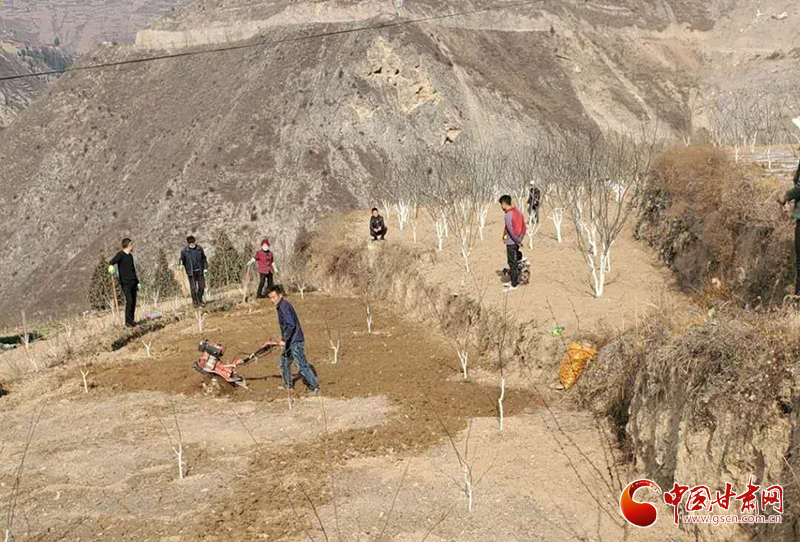 隴南武都區(qū)：“主題黨日”活動接地氣 “黨員服務(wù)隊(duì)”田間地頭助春耕（圖）