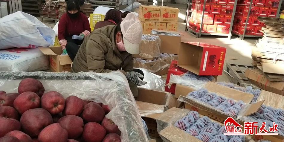 天水“花?！弊罱悬c“牛”