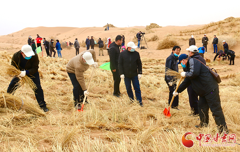 不“疫”樣的植樹(shù)節(jié)！甘肅省新聞戰(zhàn)線工作者攜手播綠“八步沙”（圖+視頻）