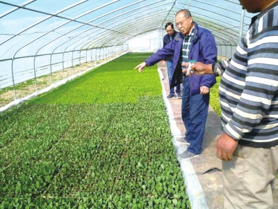 甘當服務(wù)生 種好示范田 蘭州永登縣“零距離”農(nóng)技服務(wù)助農(nóng)增收致富 