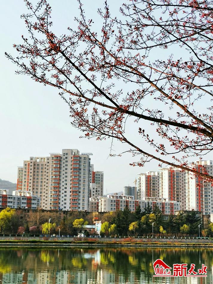 春天，古城天水的十個美麗瞬間