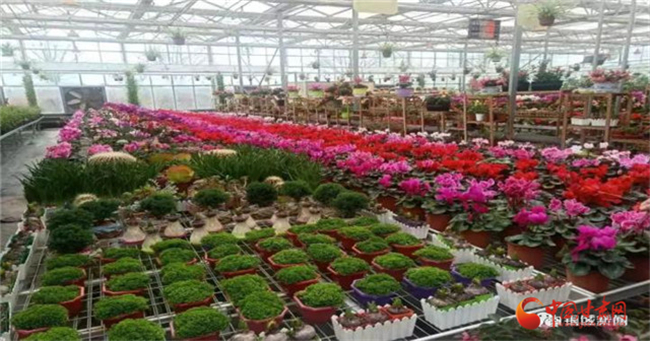 清明假期到這來——“黃河石林自駕游”活動(dòng)白銀區(qū)準(zhǔn)備好了