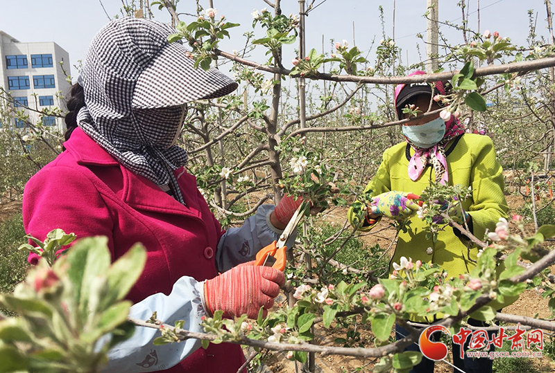 【甘肅省決戰(zhàn)決勝脫貧攻堅(jiān)】靈臺(tái)模式：盤活勞務(wù)內(nèi)生動(dòng)力 助力脫貧攻堅(jiān)之戰(zhàn)（圖）
