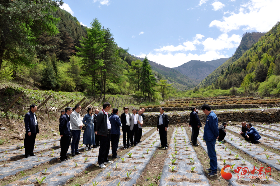 白龍江博峪河保護局開展產(chǎn)業(yè)發(fā)展、義務(wù)勞動成果現(xiàn)場觀摩交流活動