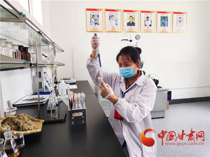 【甘肅省決戰(zhàn)決勝脫貧攻堅】榆中北山：青春力量助脫貧 博士情系新產業(yè) 