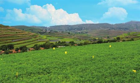 甘肅：推動(dòng)產(chǎn)業(yè)扶貧 堅(jiān)決打贏脫貧攻堅(jiān)戰(zhàn)（圖）