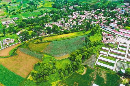 【溫暖的回響 滄桑巨變 飲水思源】這條路，通往幸福