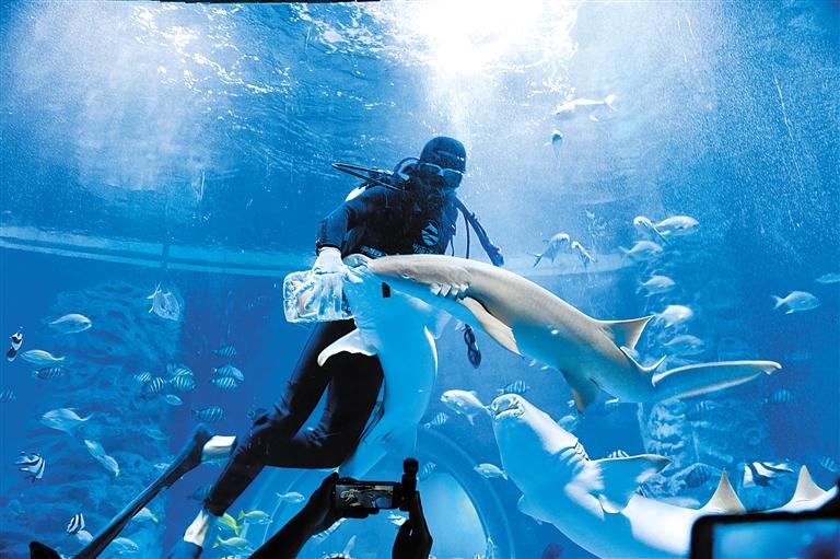 蘭州海洋公園 金昌火星1號基地 這個暑假我們“上天入?！?>
        </a><em>蘭州海洋公園 金昌火星1號基地 這個暑假我們“上天入?！?/em></li>
    <li><a  target=