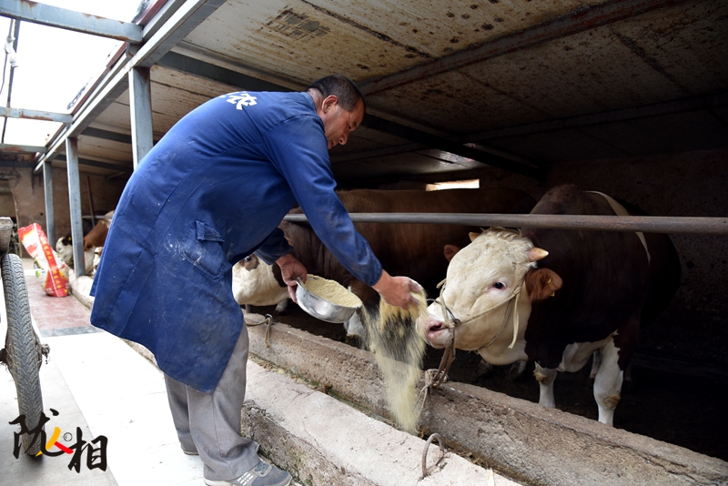【隴人相】脫貧路上的實(shí)干家——“?！比笋R占清