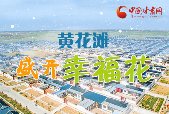 【跟著總書記看甘肅】長(zhǎng)圖|武威黃花灘盛開幸?；?