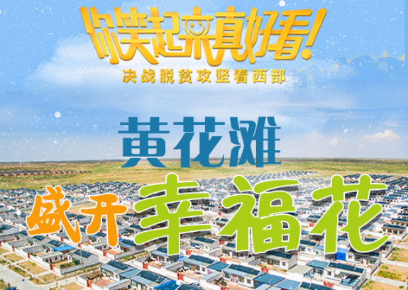 【你笑起來真好看】黃花灘盛開幸?；ǎ▓D解）