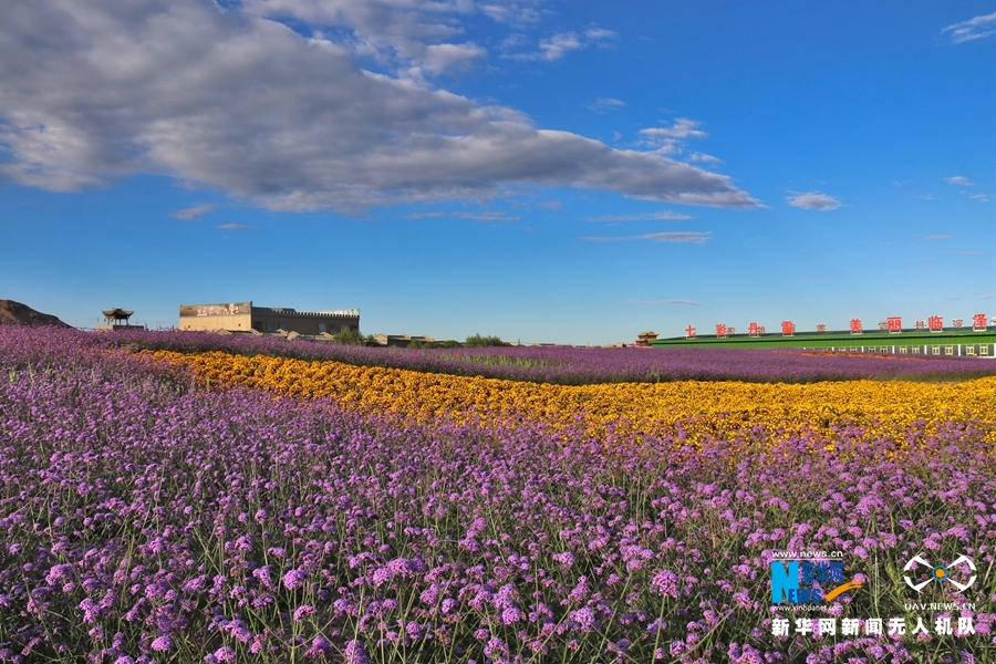 【“飛閱”中國】鳳凰花?！罢钩帷钡は伎?>
        </a><em>【“飛閱”中國】鳳凰花?！罢钩帷钡は伎?/em></li>
    <li><a  target=