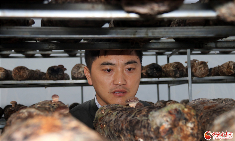 110年！何家溝村終于有了集體經(jīng)濟——中建二局黨建結(jié)對幫扶成效顯著