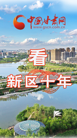 圖解|崛起！新區(qū)十年