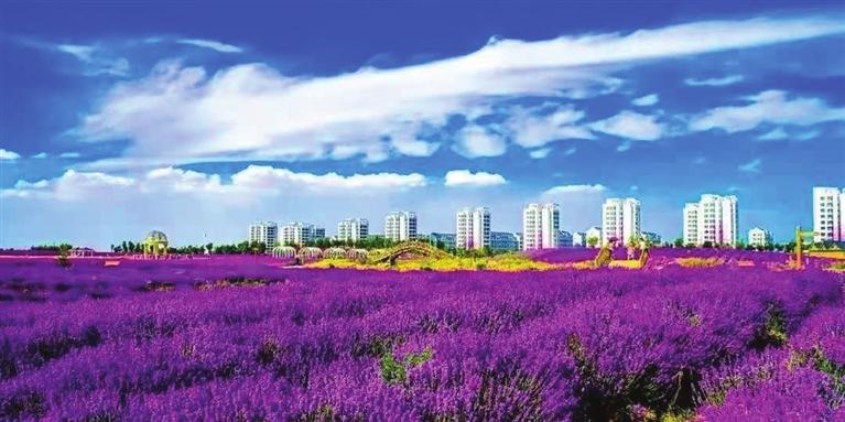 “三連冠”！金昌蟬聯(lián)全國(guó)文明城市