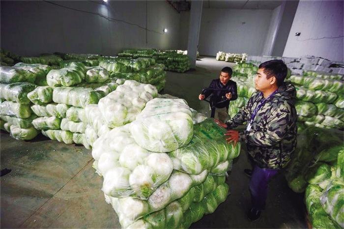 蘭州市已儲(chǔ)備1萬(wàn)噸冬春蔬菜 以耐貯存、易周轉(zhuǎn)品種為主