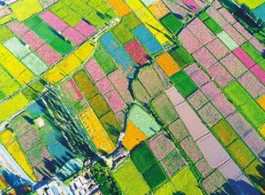 【邁好第一步 見到新氣象】甘肅發(fā)展特色產業(yè)推動脫貧攻堅銜接鄉(xiāng)村振興報道之五  織密產業(yè)“安全網” 農戶吃上“定心丸”