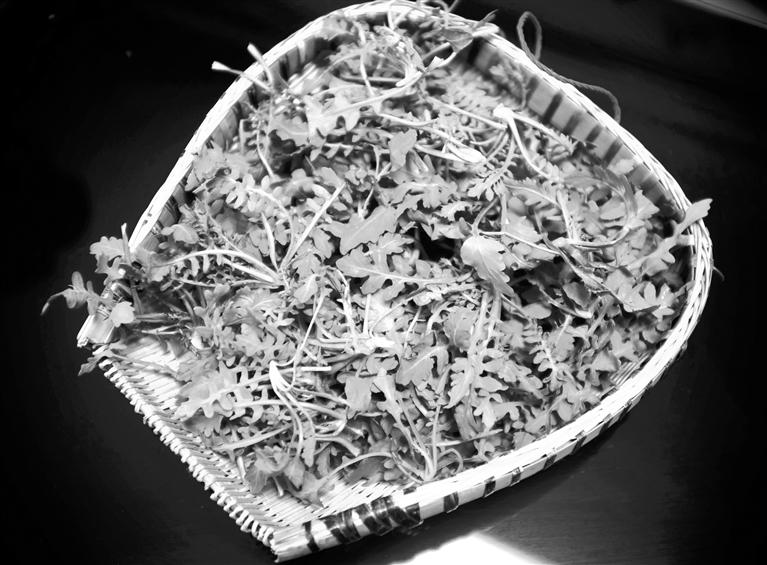 甘肅美食丨摘野菜，咬個(gè)“春”，讓味蕾清新起來(lái)
