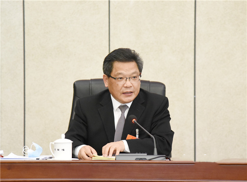 任振鶴在甘肅代表團(tuán)審議政府工作報(bào)告時發(fā)言