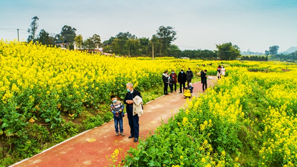 游客在花海里踏青。廖濤 攝