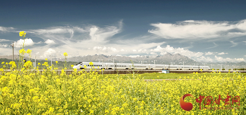 坐上火車“邂逅”春天，你可以這樣享“鐵路游”