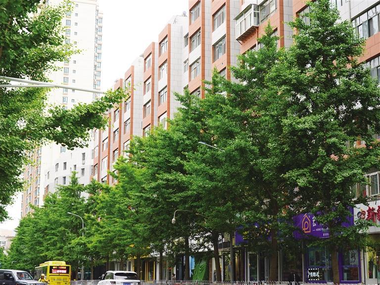 老得優(yōu)雅 舊得有味 住著舒服——實地探訪蘭州老舊小區(qū)改造情況