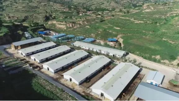 “莊浪模式”賦能產業(yè)提質增效