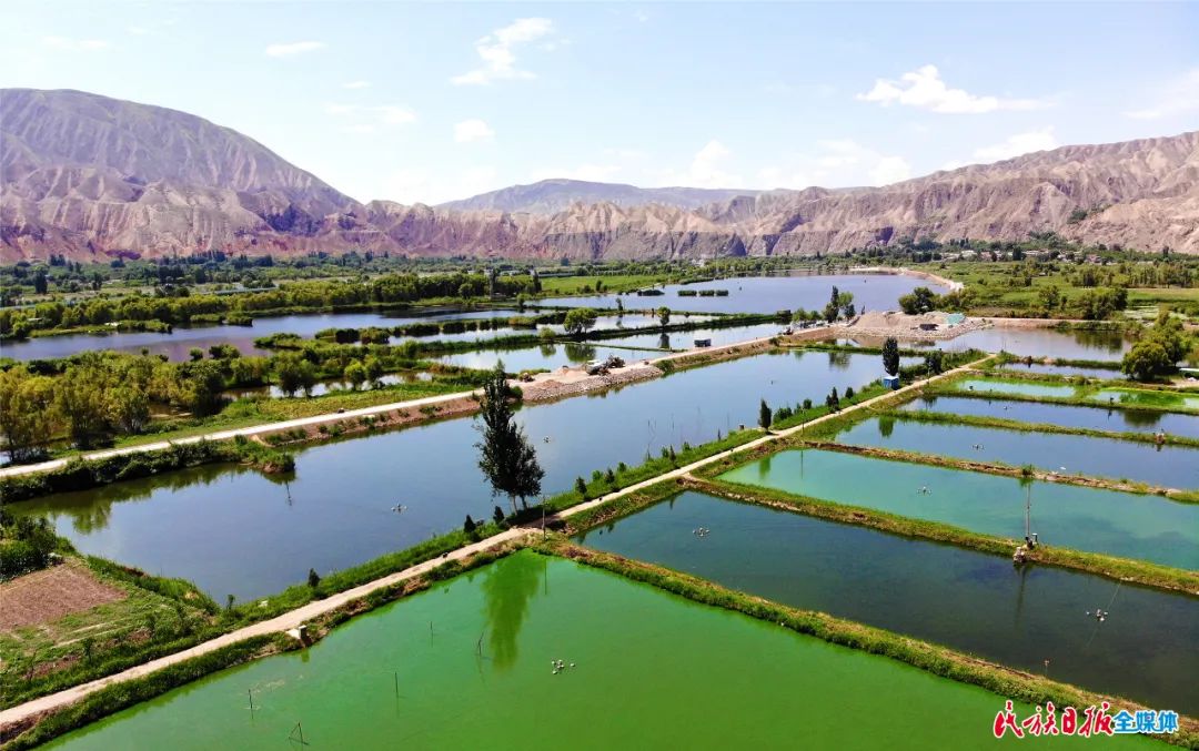一秒入畫！太極島濕地風(fēng)光秀麗