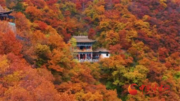 【甘肅省“100系列”獻(xiàn)禮建黨百年】物華天寶潤(rùn)隴原·蘭州榆中捧出詩畫田園 引青海游客入甘樂享鄉(xiāng)村之旅