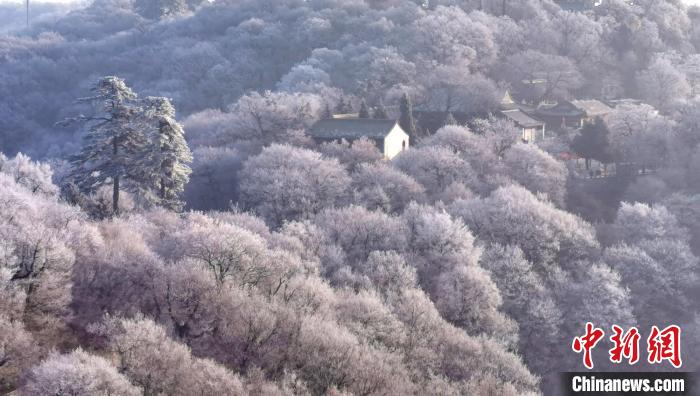 圖為霧凇美景。　徐振華 攝