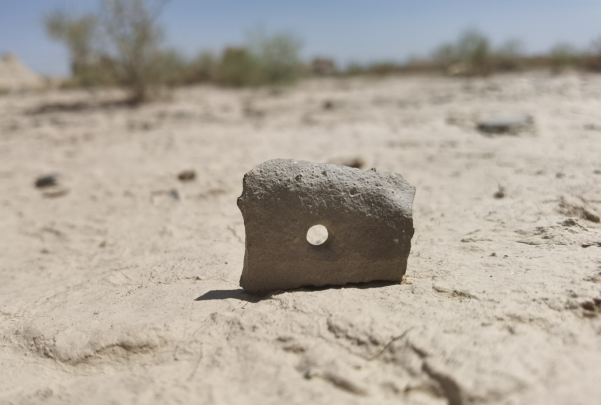 插圖1：河西走廊上遺存的古陶片。攝影：陳曉斌。拍攝日期：2020年6月。