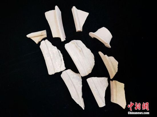 圖為靜寧縣賈河鄉(xiāng)竇坪村出土的彩陶片、紅陶片。 夏劍鋒 攝