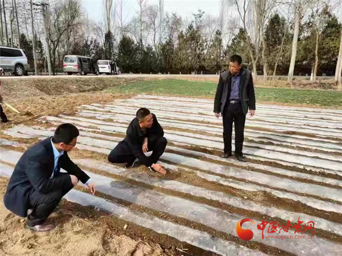 平涼市涇川縣黨原鎮(zhèn)：鏈長制鏈出“幸福路”