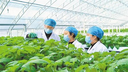 【鄉(xiāng)村·新關(guān)注】惠風和暢正當時 梯田沃野春耕忙