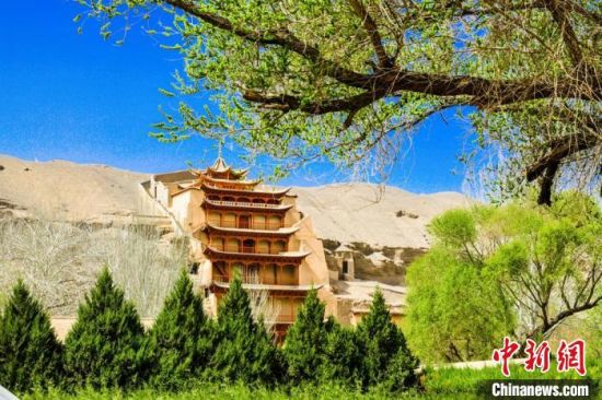 4月的敦煌莫高窟景區(qū)春意盎然。(資料圖) 王斌銀 攝