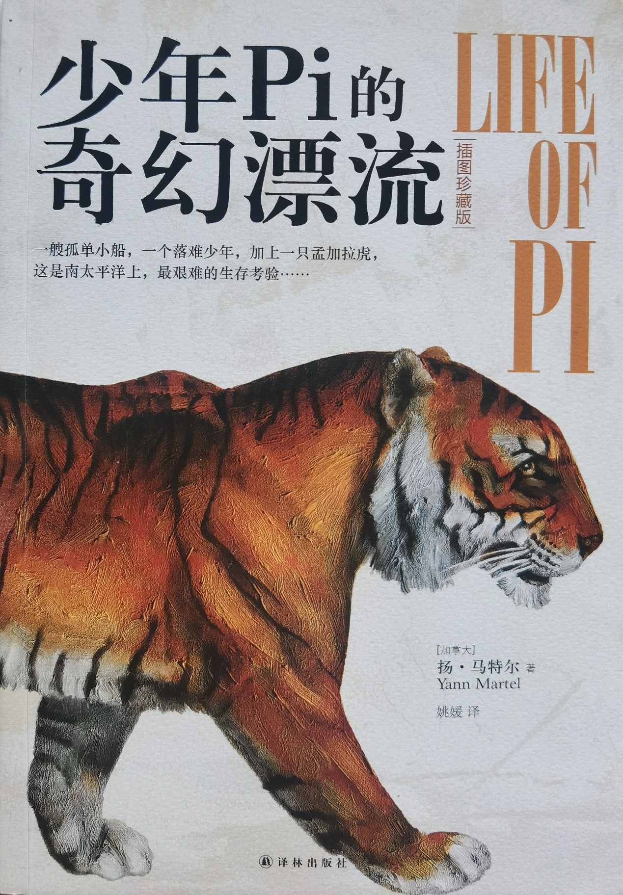 插圖1：揚(yáng)？馬特爾的小說(shuō)《少年pi的奇幻漂流》封面