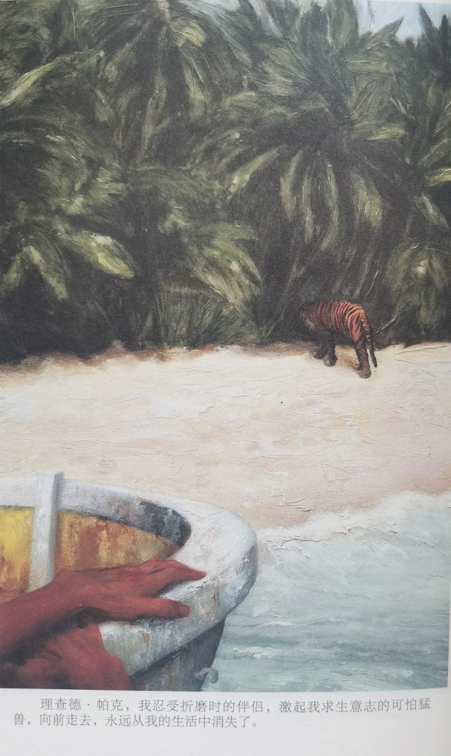 插圖3：揚(yáng)？馬特爾的小說(shuō)《少年pi的奇幻漂流》插圖