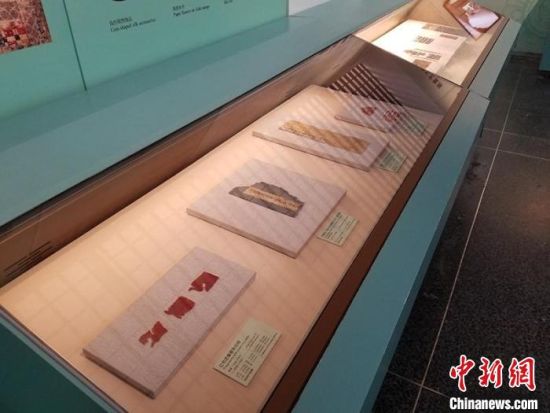 圖為展覽現(xiàn)場?！《鼗脱芯吭汗﹫D