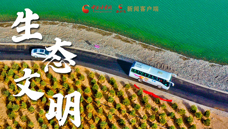 彈幕海報丨熱議甘肅省委十三屆十六次全會 網(wǎng)民聲音在回響！