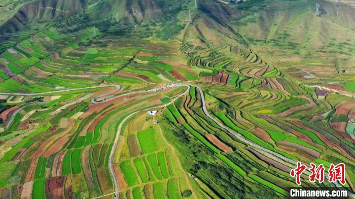 秋日里，榆中縣馬坡鄉(xiāng)千畝梯田，不同農(nóng)作物漸趨成熟，呈現(xiàn)出多種色彩，宛若大地的“調(diào)色盤”。　劉曉波 攝