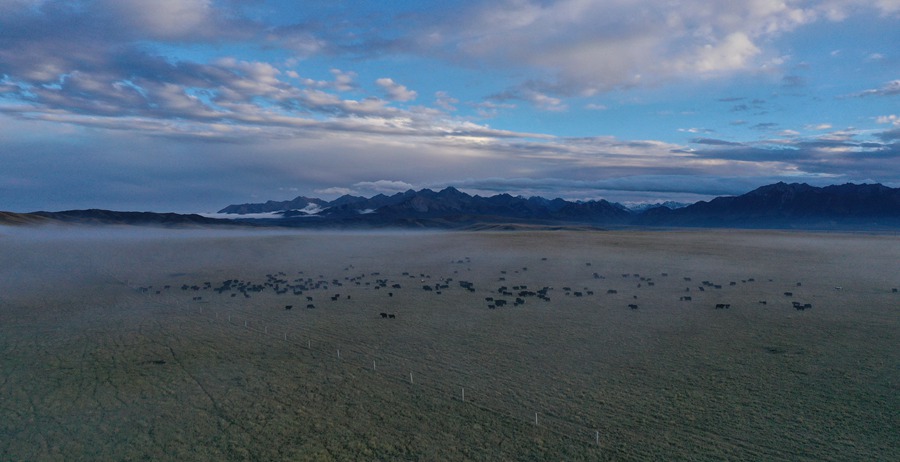 甘肅山丹馬場(chǎng)：峽谷云霧似仙境。 王超攝