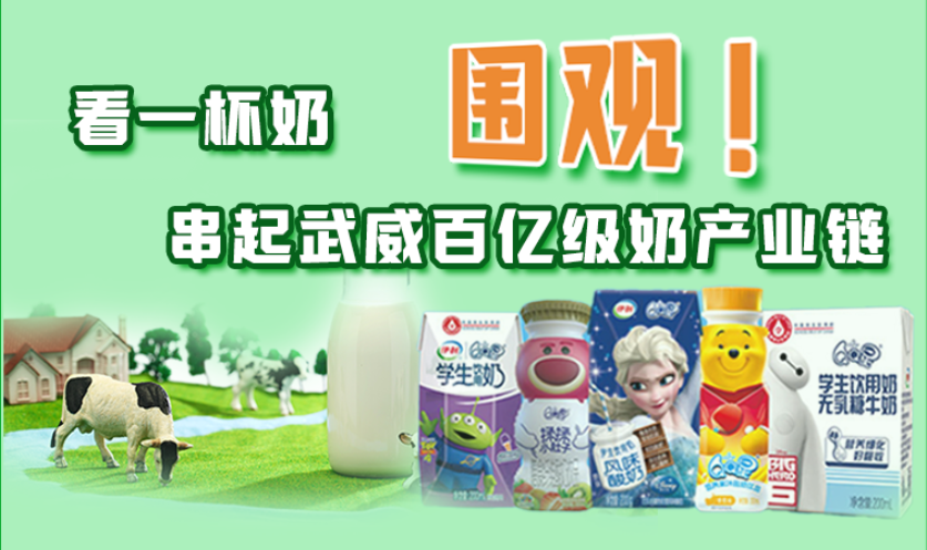 圖解|圍觀！看一杯奶串起武威百億級奶產(chǎn)業(yè)鏈