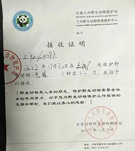 受到救助的池鷺被蘭州野生動物保護(hù)站接收。（蘭州市公安局七里河分局供圖）