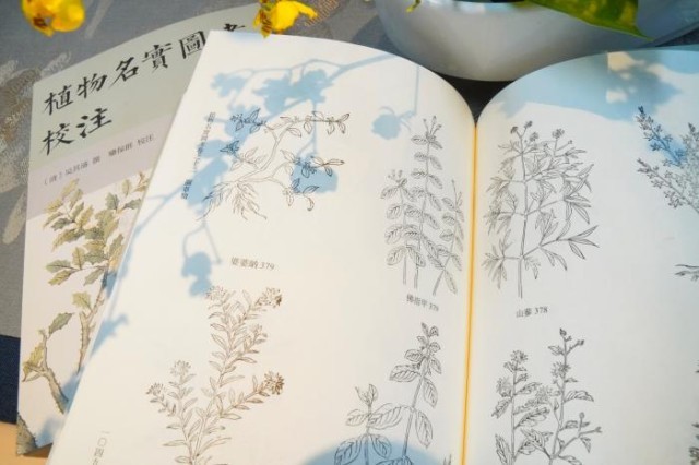 《植物名實(shí)圖考校注》內(nèi)頁。圖片來源：中華書局供圖