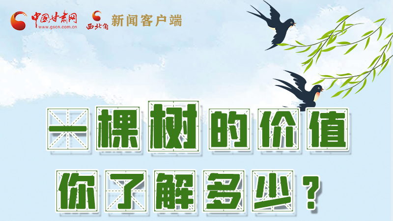 圖解|一棵樹的價值你了解多少?來看！