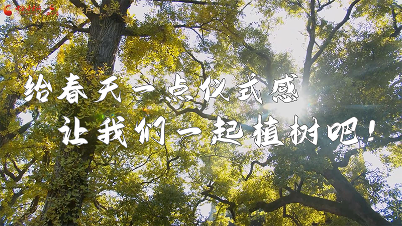 短視頻|給春天一點儀式感，讓我們一起植樹吧！