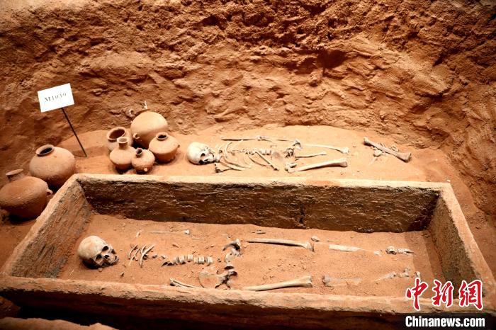 圖為河湟文化博物館復制展陳的墓葬及其彩陶陪葬品。　薛蒂 攝