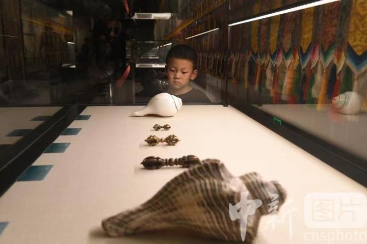 圖為展出的“白海螺法器”吸引小觀眾。 中新社記者 戴文昌 攝